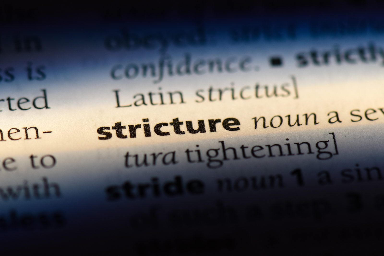what is a stricture word in a dictionary